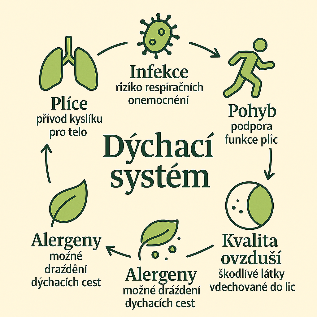 Dýchací systém